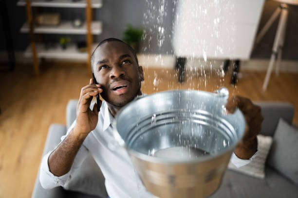 Best Basement water damage restoration  in Steele, MO