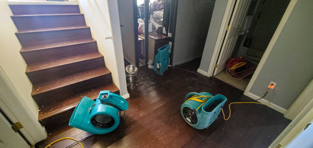 Best Fire Damage Restoration  in Steele, MO