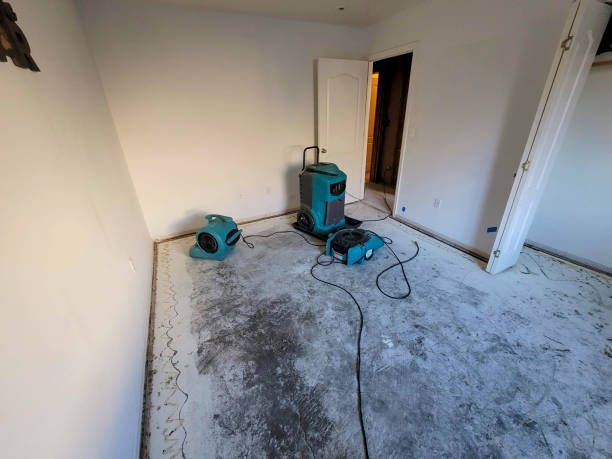 Best Water damage restoration services  in Steele, MO