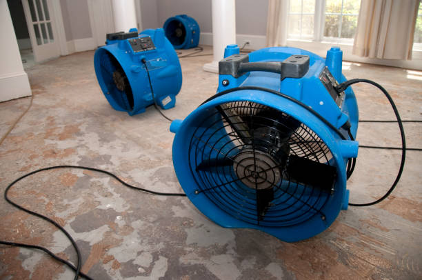 Best Residential water damage restoration  in Steele, MO