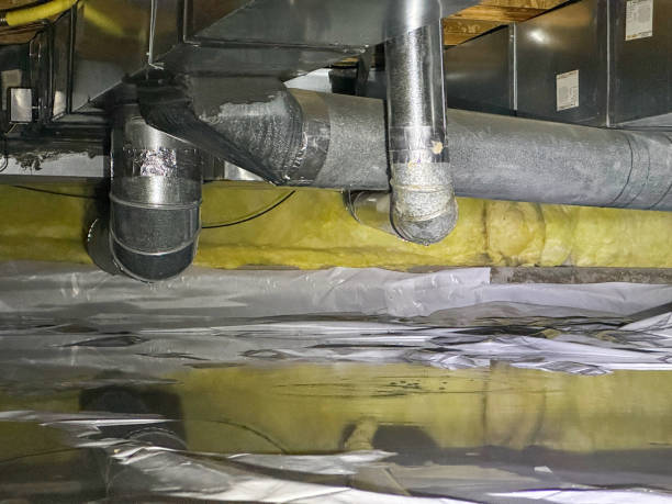 Best 24/7 water damage repair  in Steele, MO